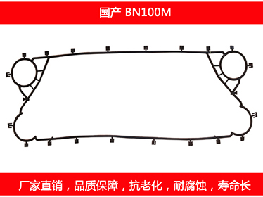 BN100M 国产可拆式板式石榴视频APP污密封垫片