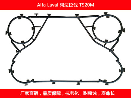 TS20M 国产板式石榴视频APP污密封垫片