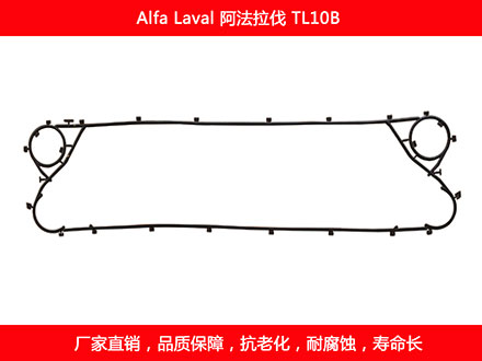 TL10P 国产板式石榴视频APP污密封垫片