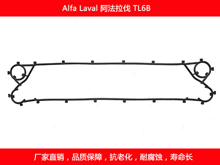 TL6B 国产板式石榴视频APP污密封垫片